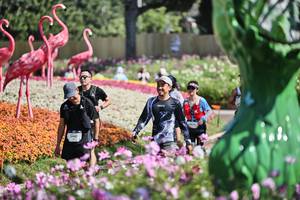 BIB: 
                            <button type="button" onclick="openModal(27793156)" class="btn btn-primary btn-sm float-right btn-popup" data-toggle="modal" data-target=".modal-high-quality">
                        <i class="fas fa-shopping-cart"></i> Add to Cart
                    </button>
                                            <button type="button" onclick="isThisMe(27793156, true)" class="btn btn-success btn-sm float-right btn-popup btn-isme hidden" data-toggle="tooltip" data-placement="bottom" title="นี่คือรูปของคุณใช่ไหม คลิกที่นี่เพื่อเอาเข้าอัลบั้ม">
                        <i class="fas fa-plus"></i> Add to album
                    </button>
                    <button type="button" onclick="isThisMe(27793156, false)" class="btn btn-warning btn-sm float-right btn-popup btn-isnotme hidden">
                        <i class="fas fa-ban"></i> Remove from album
                    </button>